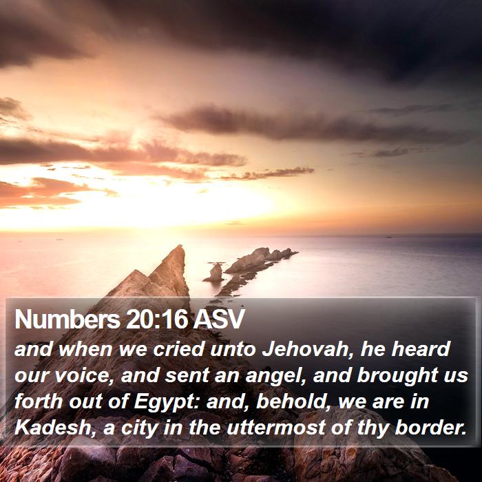 Numbers 20:16 ASV Bible Study