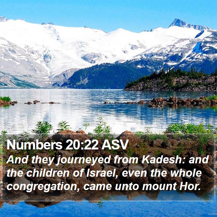 Numbers 20:22 ASV Bible Study