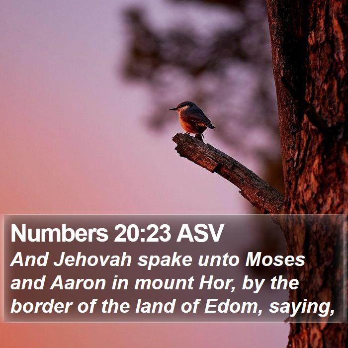 Numbers 20:23 ASV Bible Study