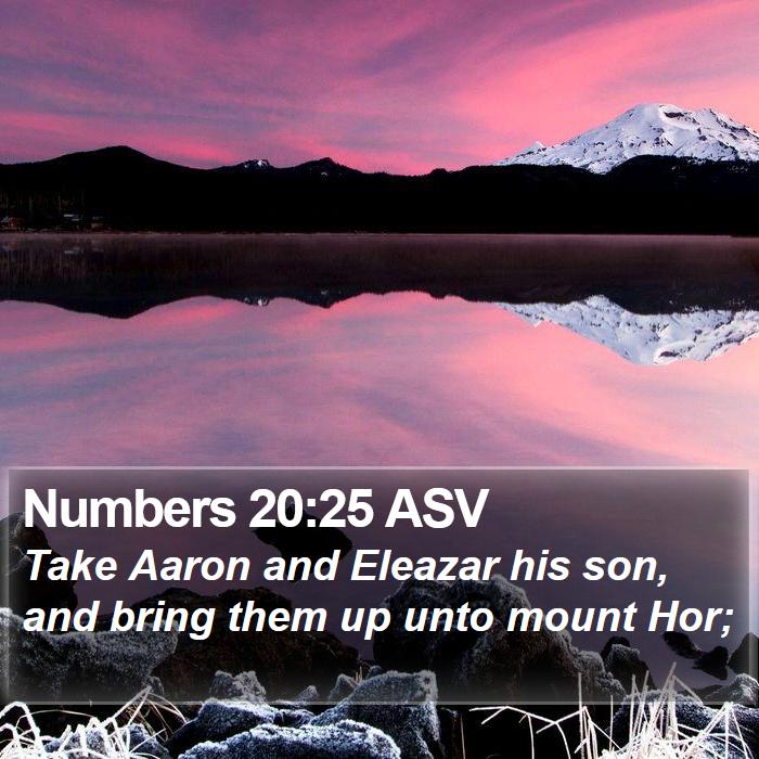 Numbers 20:25 ASV Bible Study