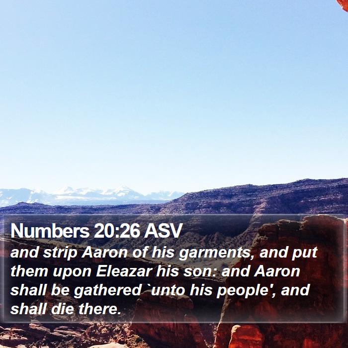 Numbers 20:26 ASV Bible Study