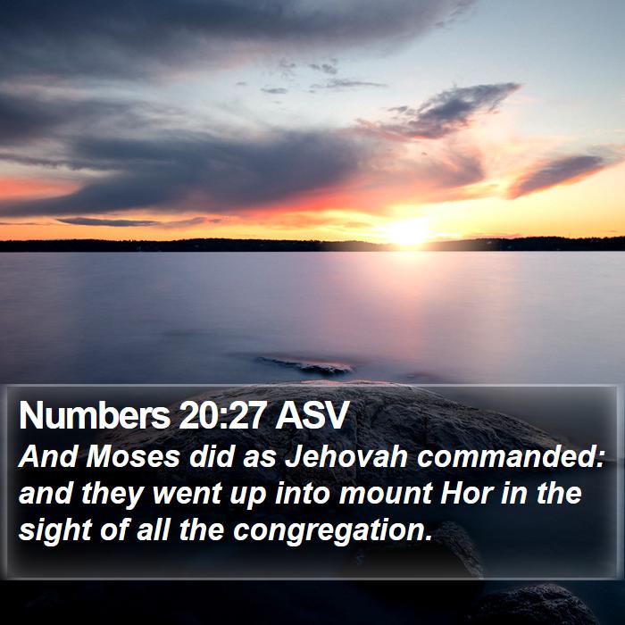 Numbers 20:27 ASV Bible Study