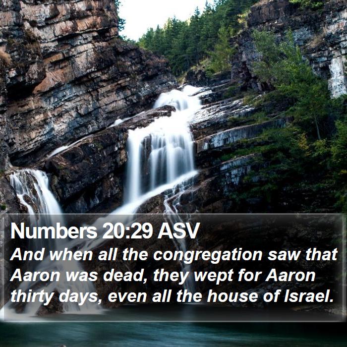 Numbers 20:29 ASV Bible Study