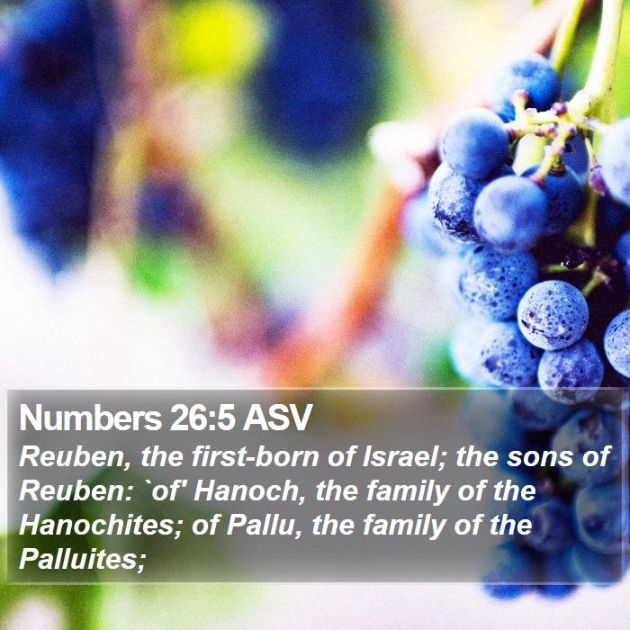 Numbers 26:5 ASV Bible Study