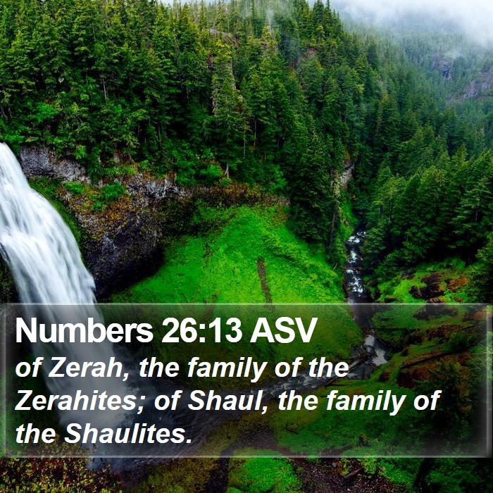 Numbers 26:13 ASV Bible Study