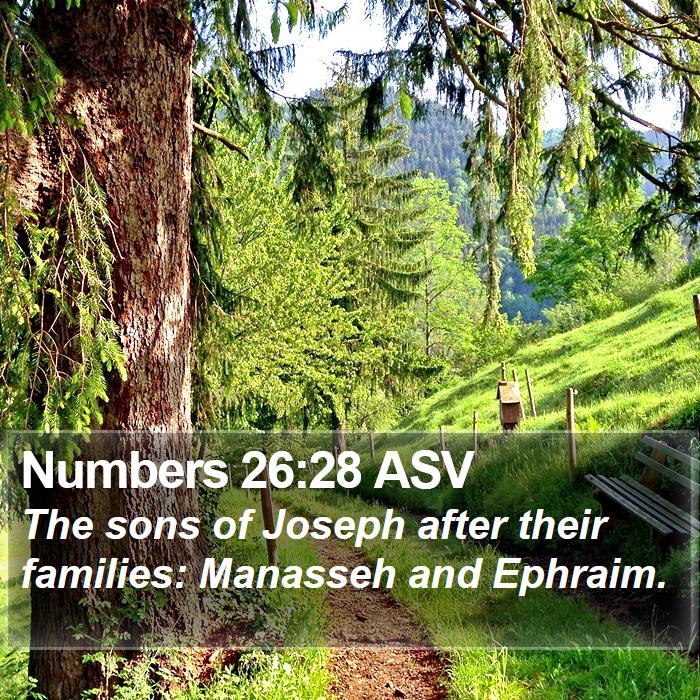 Numbers 26:28 ASV Bible Study