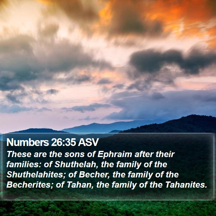 Numbers 26:35 ASV Bible Study