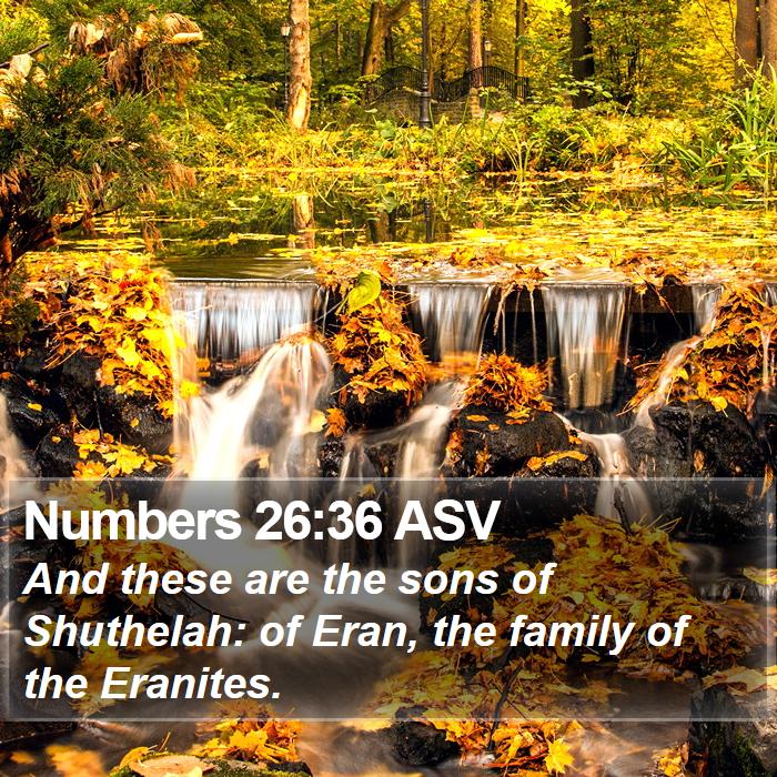 Numbers 26:36 ASV Bible Study