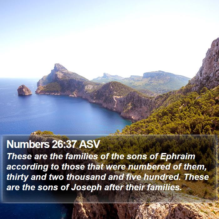 Numbers 26:37 ASV Bible Study