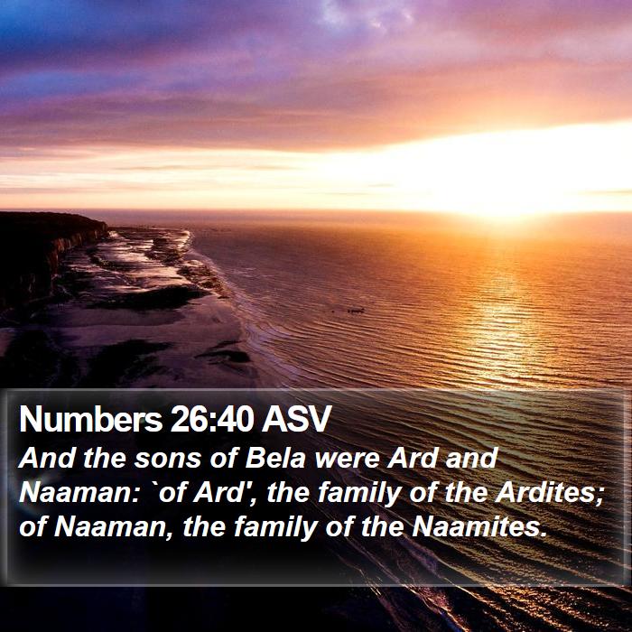 Numbers 26:40 ASV Bible Study