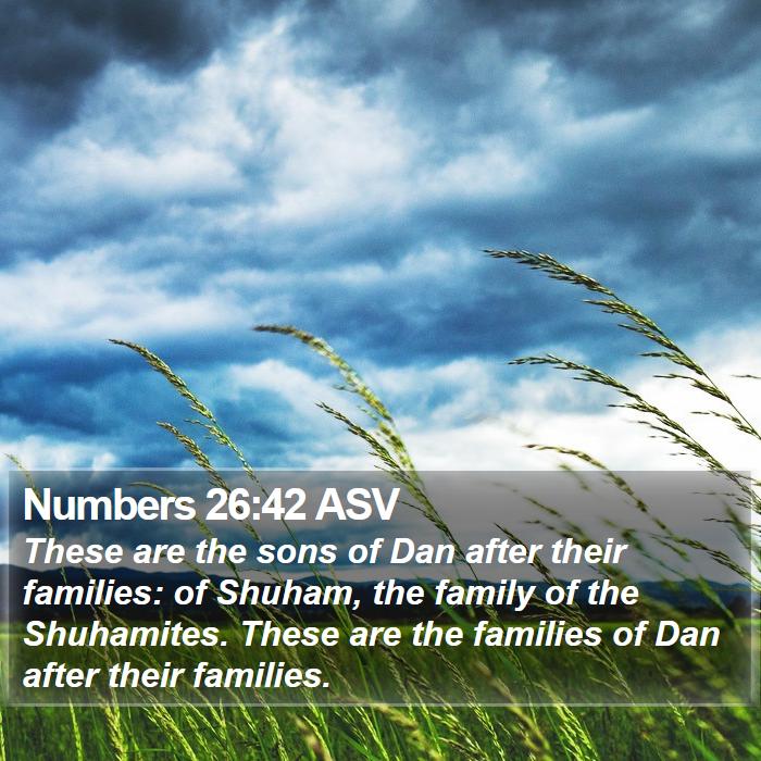 Numbers 26:42 ASV Bible Study