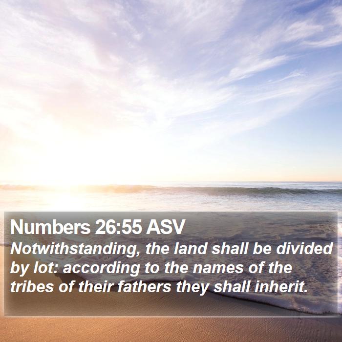 Numbers 26:55 ASV Bible Study