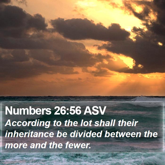 Numbers 26:56 ASV Bible Study