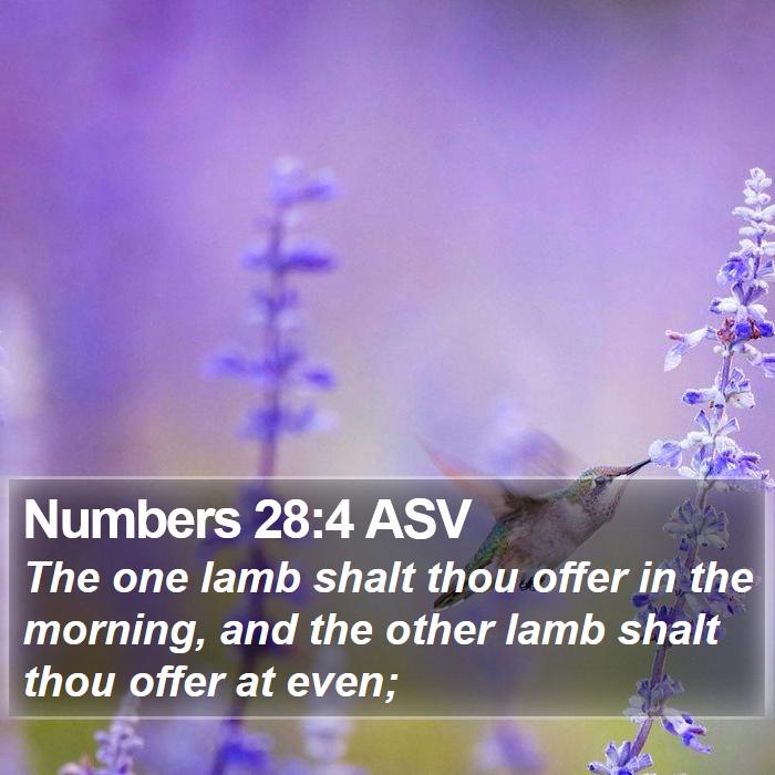 Numbers 28:4 ASV Bible Study