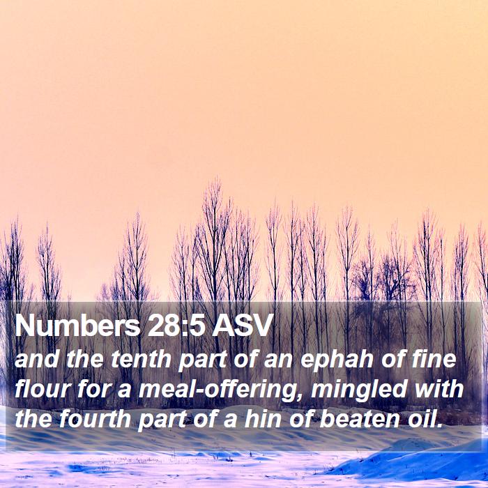 Numbers 28:5 ASV Bible Study