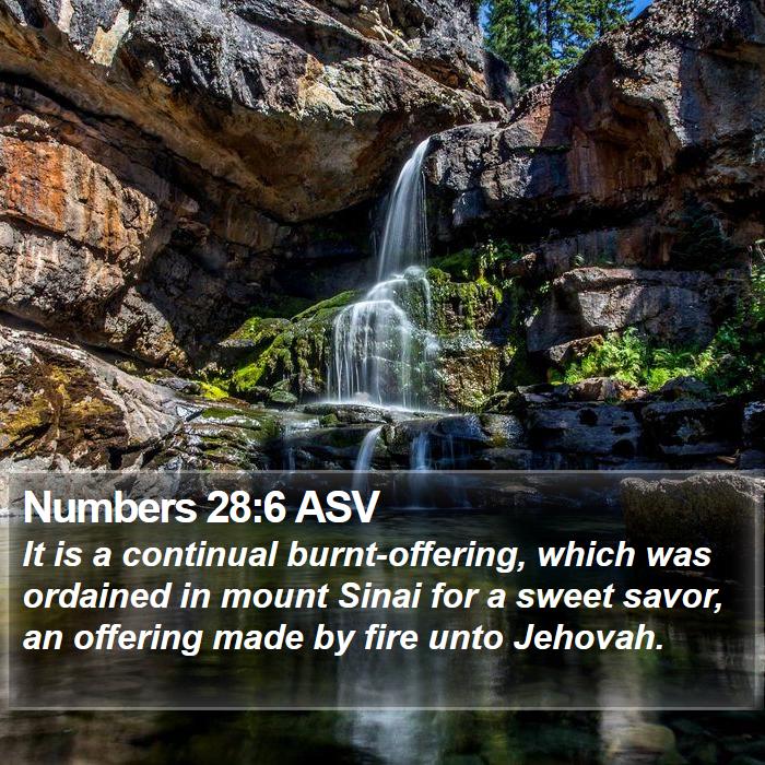 Numbers 28:6 ASV Bible Study