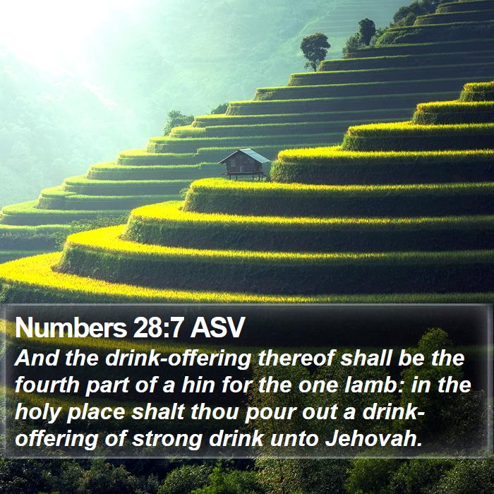 Numbers 28:7 ASV Bible Study