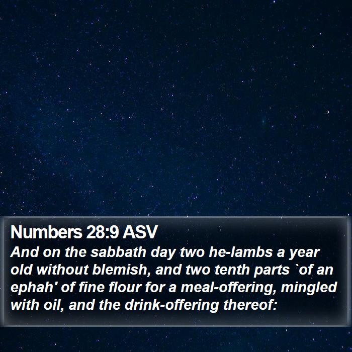 Numbers 28:9 ASV Bible Study