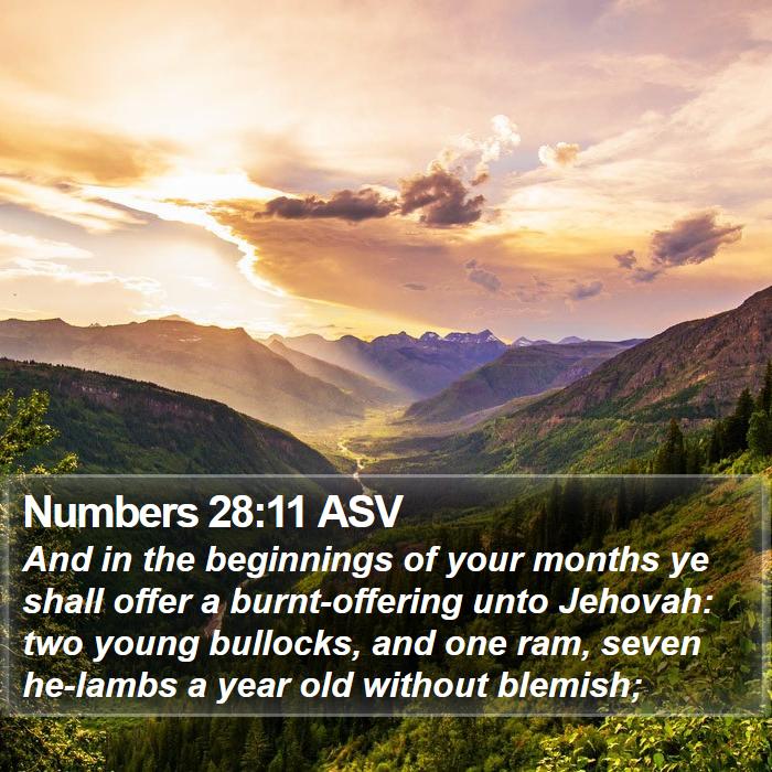 Numbers 28:11 ASV Bible Study