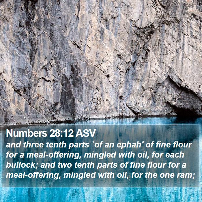 Numbers 28:12 ASV Bible Study