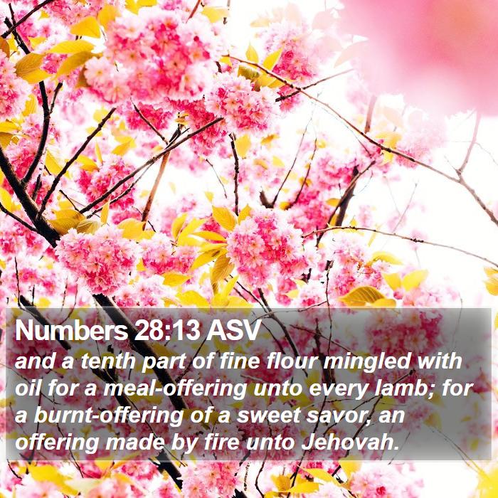 Numbers 28:13 ASV Bible Study