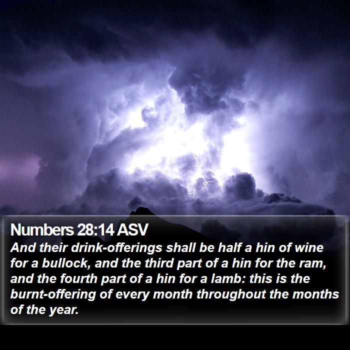 Numbers 28:14 ASV Bible Study