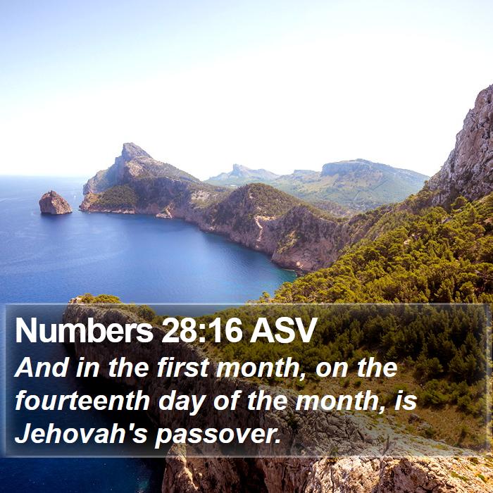 Numbers 28:16 ASV Bible Study