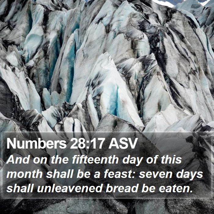 Numbers 28:17 ASV Bible Study