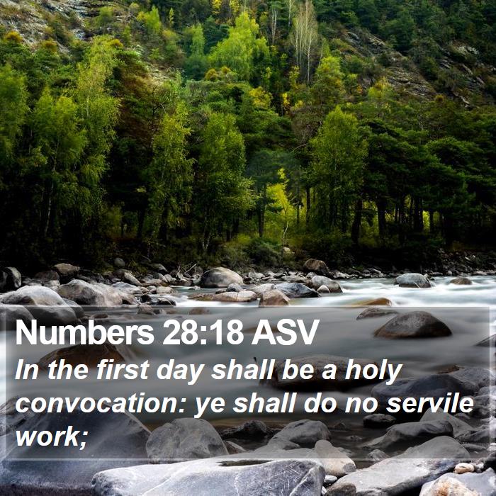 Numbers 28:18 ASV Bible Study