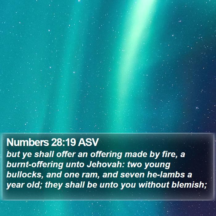 Numbers 28:19 ASV Bible Study