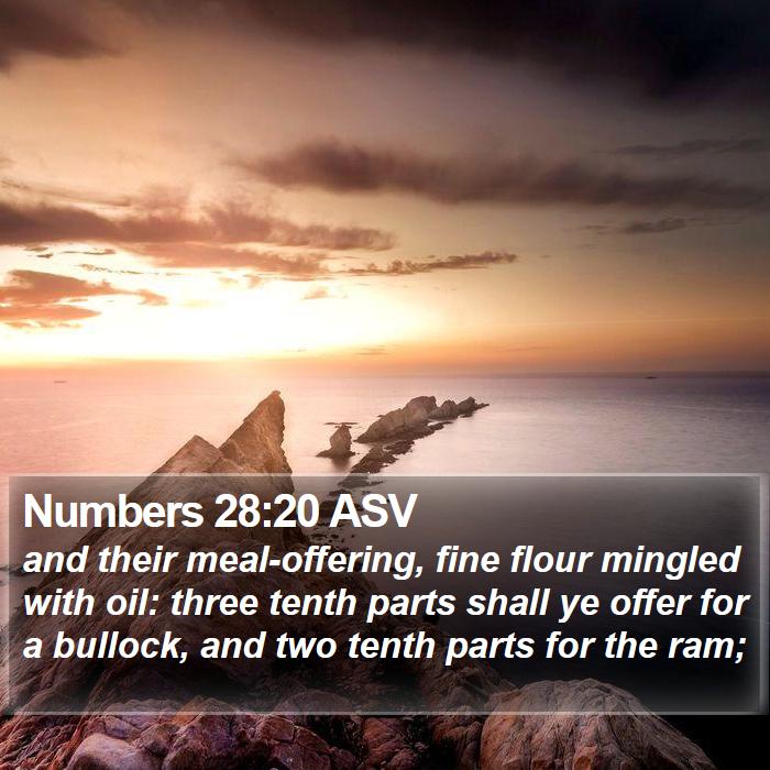 Numbers 28:20 ASV Bible Study