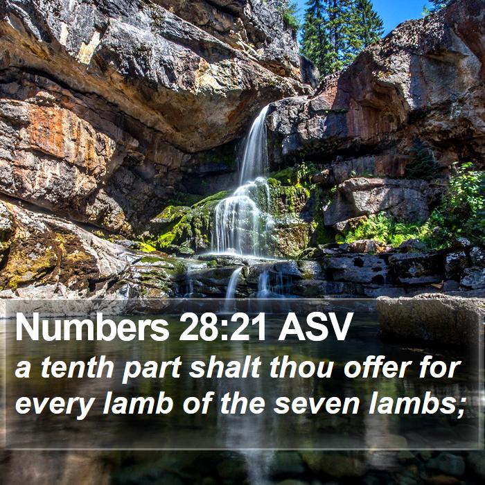 Numbers 28:21 ASV Bible Study