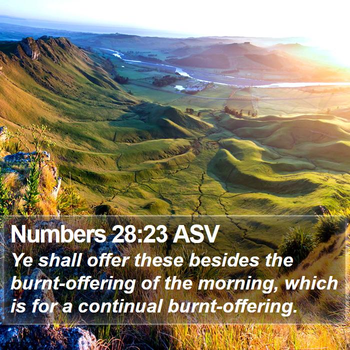 Numbers 28:23 ASV Bible Study