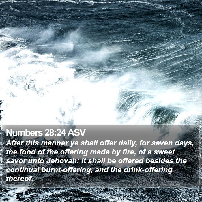 Numbers 28:24 ASV Bible Study