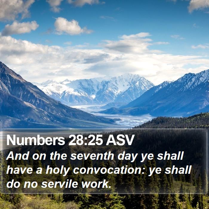 Numbers 28:25 ASV Bible Study