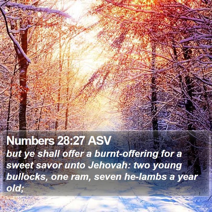 Numbers 28:27 ASV Bible Study