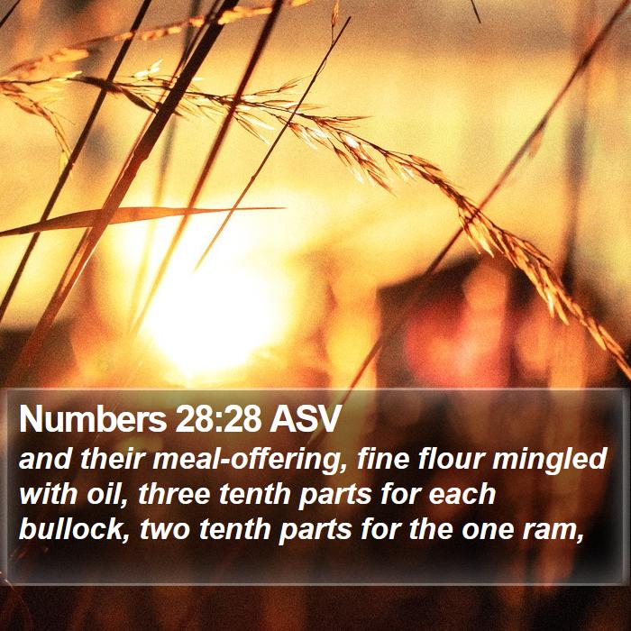 Numbers 28:28 ASV Bible Study