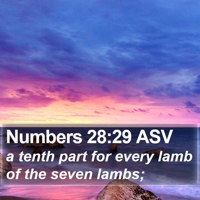 Numbers 28:29 ASV Bible Study