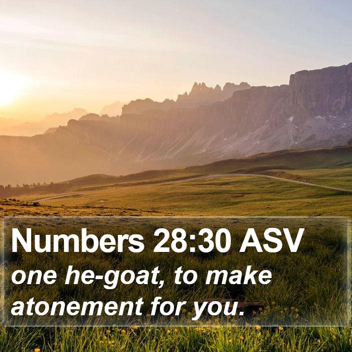 Numbers 28:30 ASV Bible Study