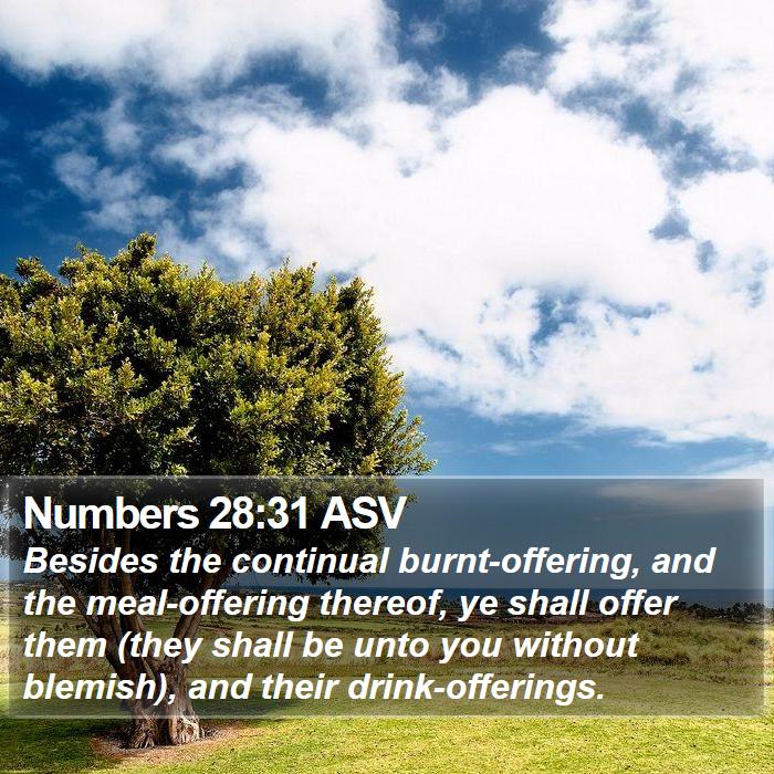 Numbers 28:31 ASV Bible Study