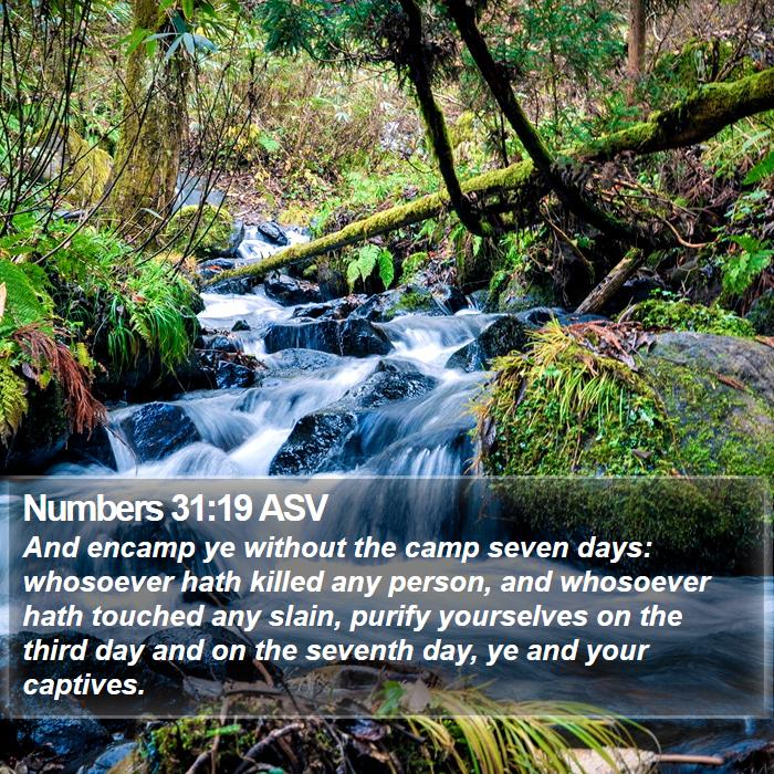 Numbers 31:19 ASV Bible Study