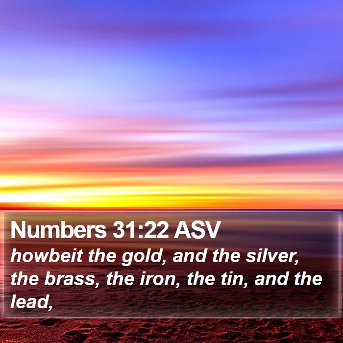 Numbers 31:22 ASV Bible Study