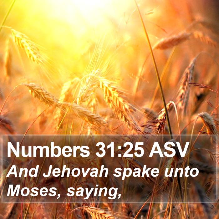 Numbers 31:25 ASV Bible Study