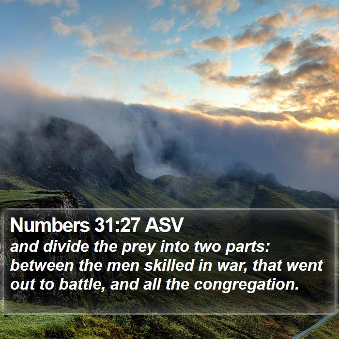 Numbers 31:27 ASV Bible Study