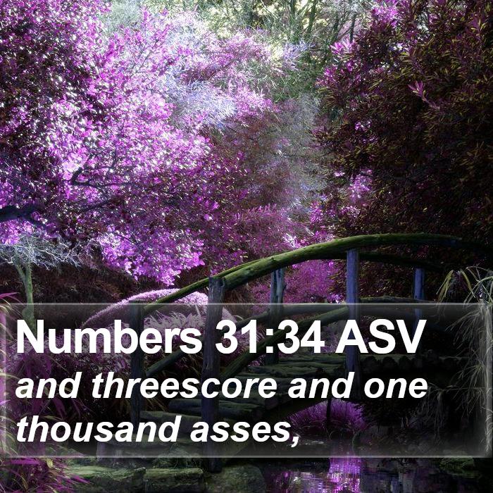 Numbers 31:34 ASV Bible Study