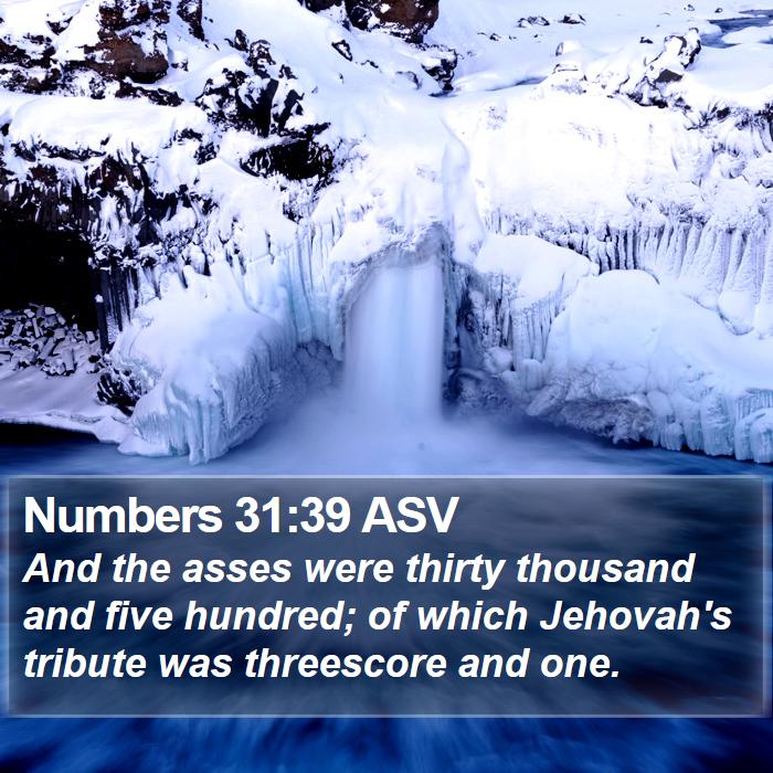 Numbers 31:39 ASV Bible Study