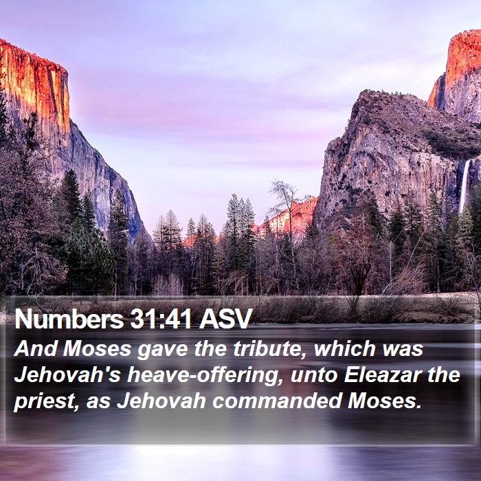 Numbers 31:41 ASV Bible Study