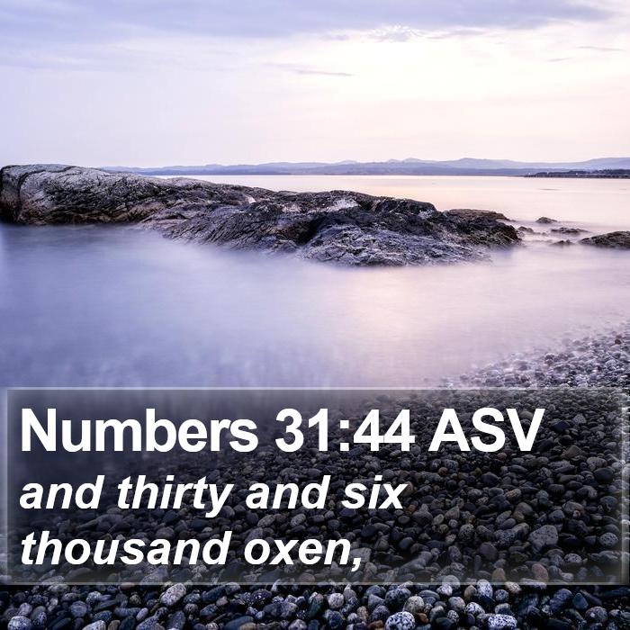 Numbers 31:44 ASV Bible Study