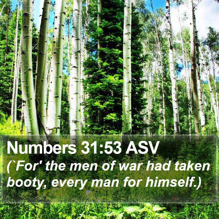 Numbers 31:53 ASV Bible Study