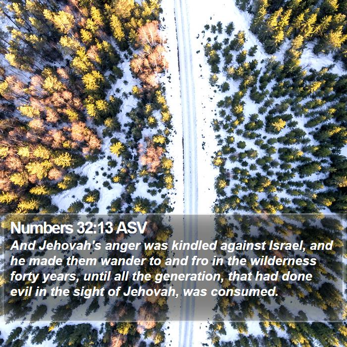 Numbers 32:13 ASV Bible Study